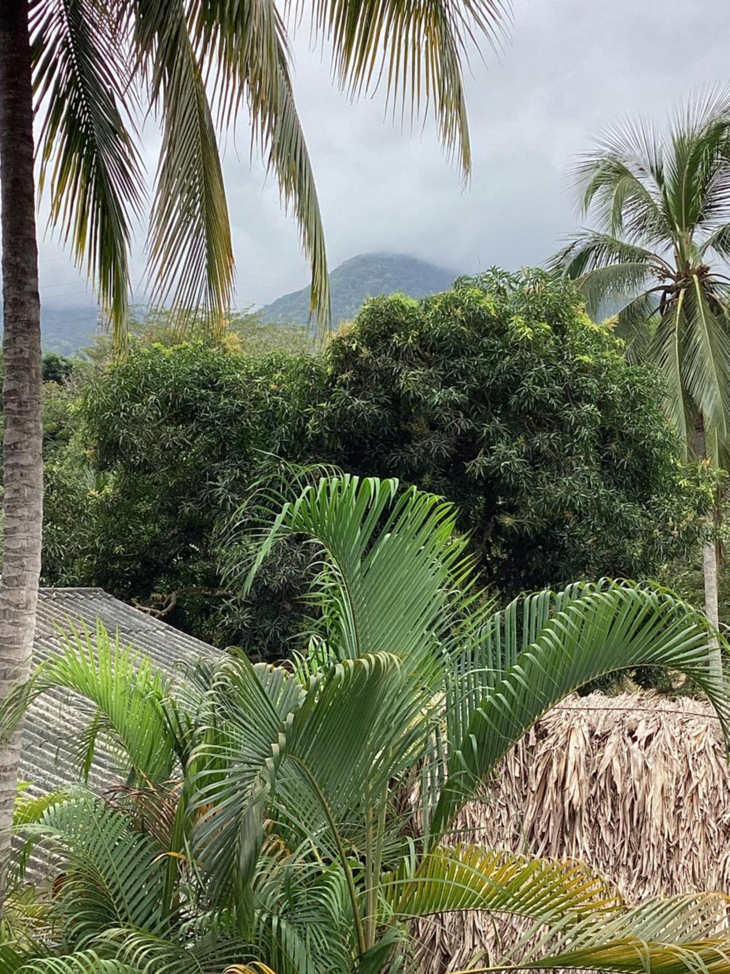 Hostal Antawara Tayrona El Zaino Ngoại thất bức ảnh